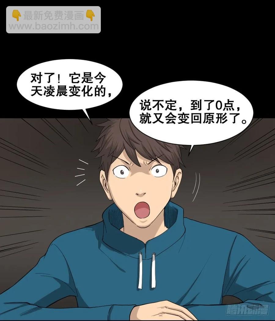 动物妈妈（2）