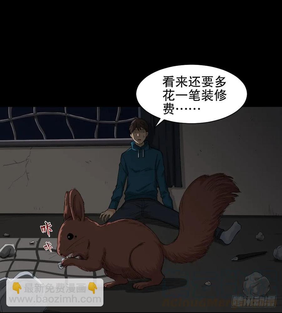 动物妈妈（3）
