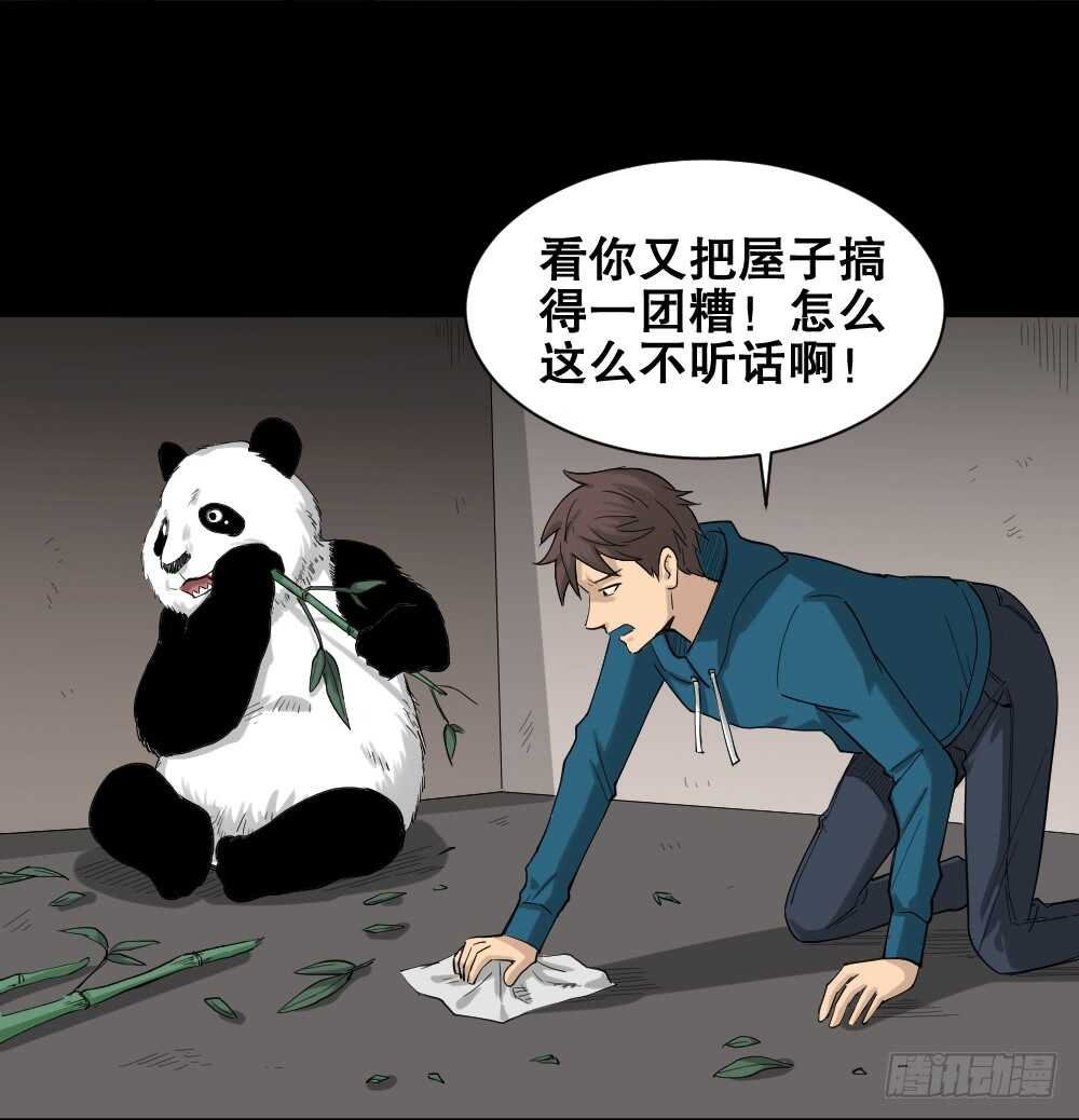 动物妈妈（4）