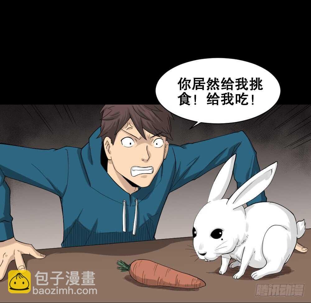 动物妈妈（4）