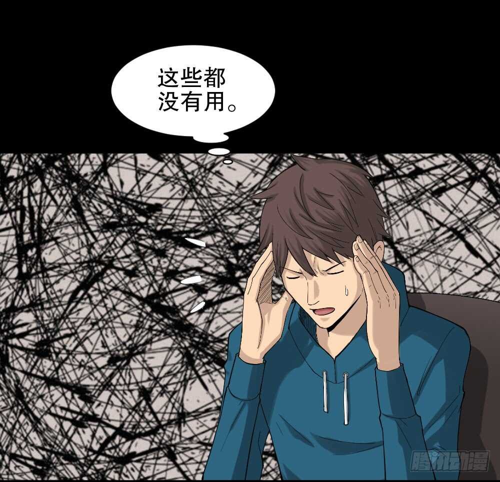 动物妈妈（4）