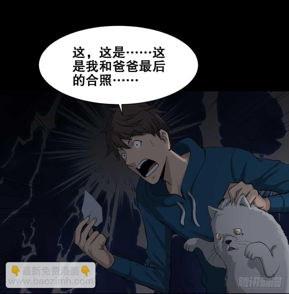 动物妈妈（4）