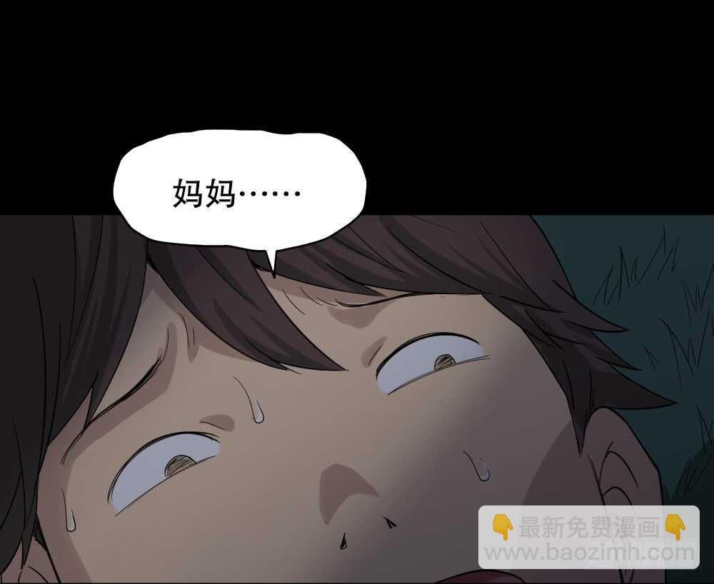 动物妈妈（6）