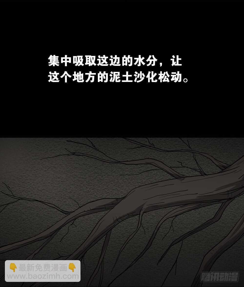 树的报仇（4）