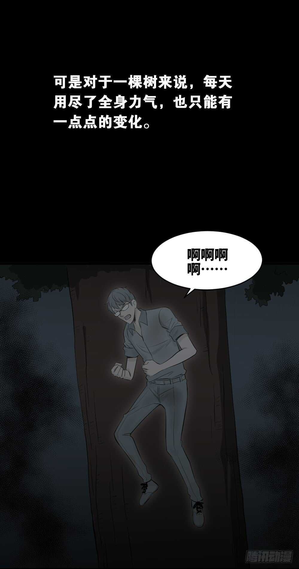 树的报仇（4）