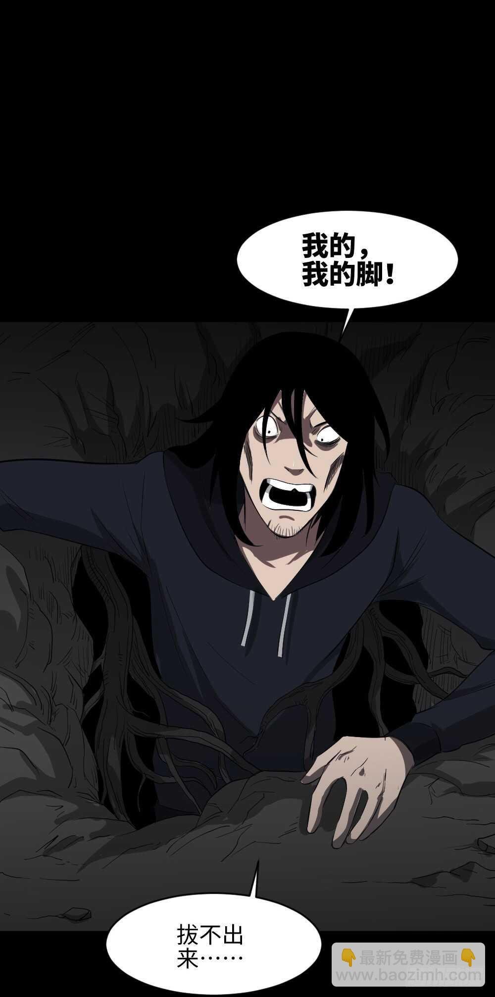 树的报仇（5）
