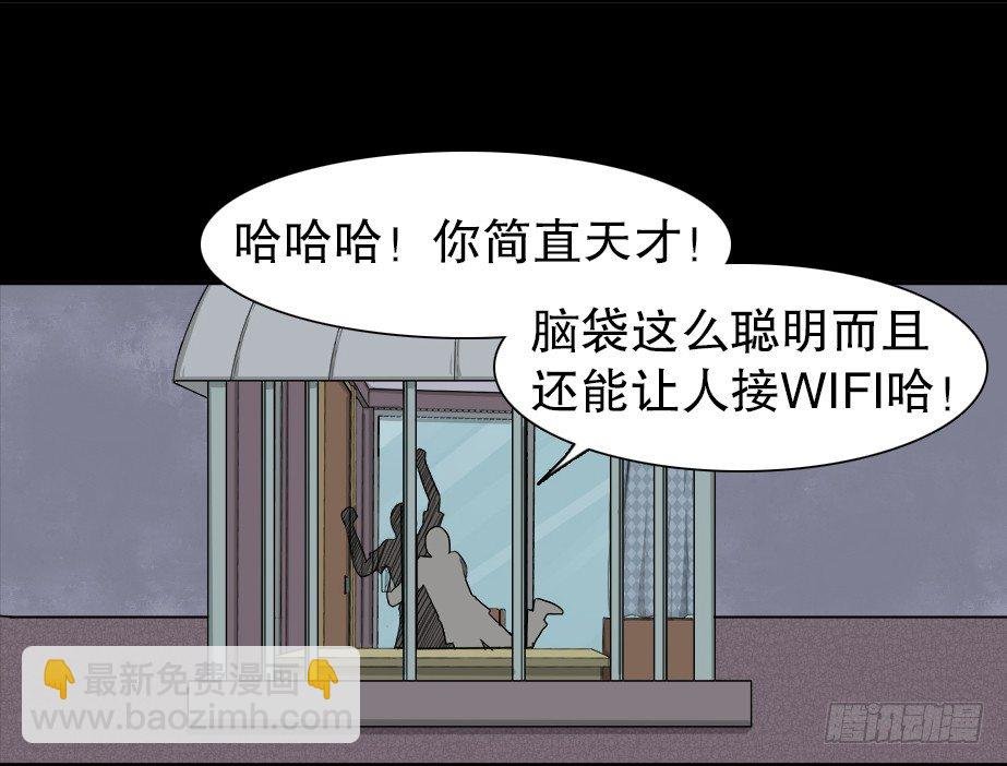 智商WIFI（1）