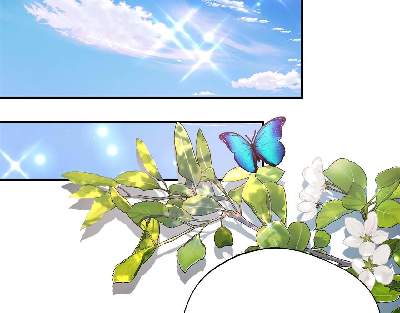 第90话 西芙的决定