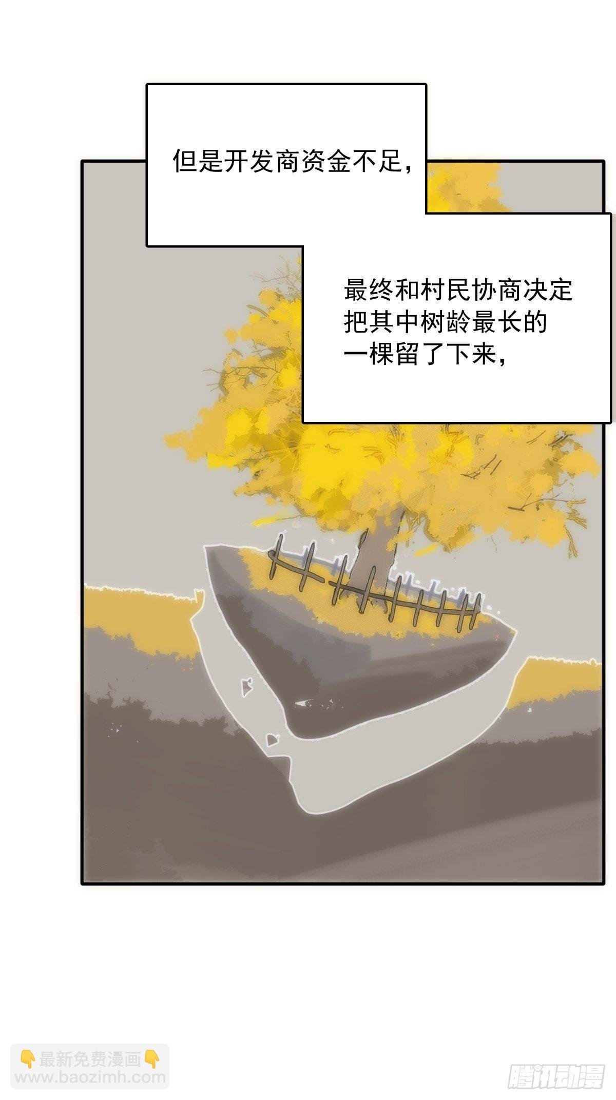 第23话 杏林村