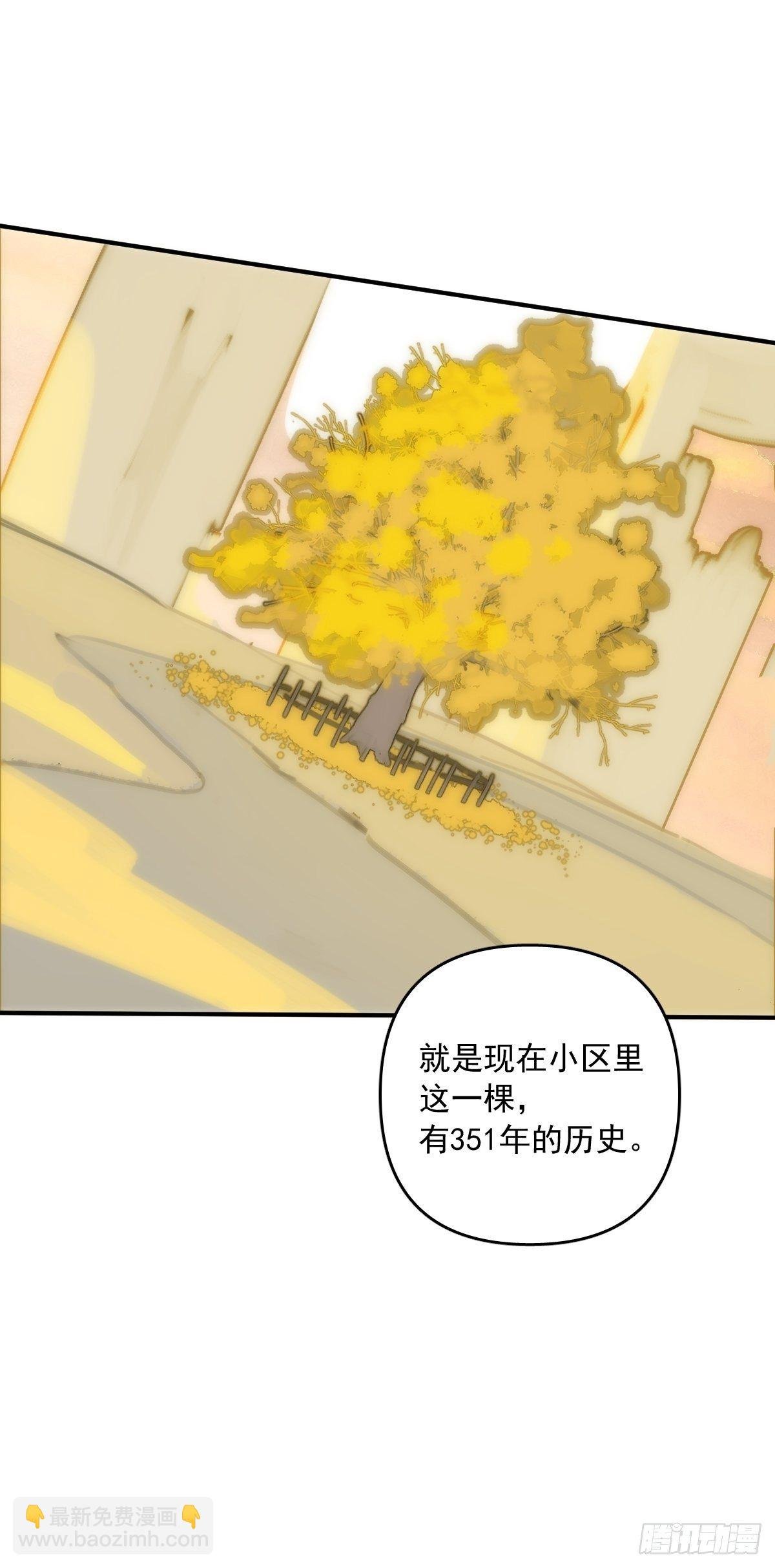 第23话 杏林村