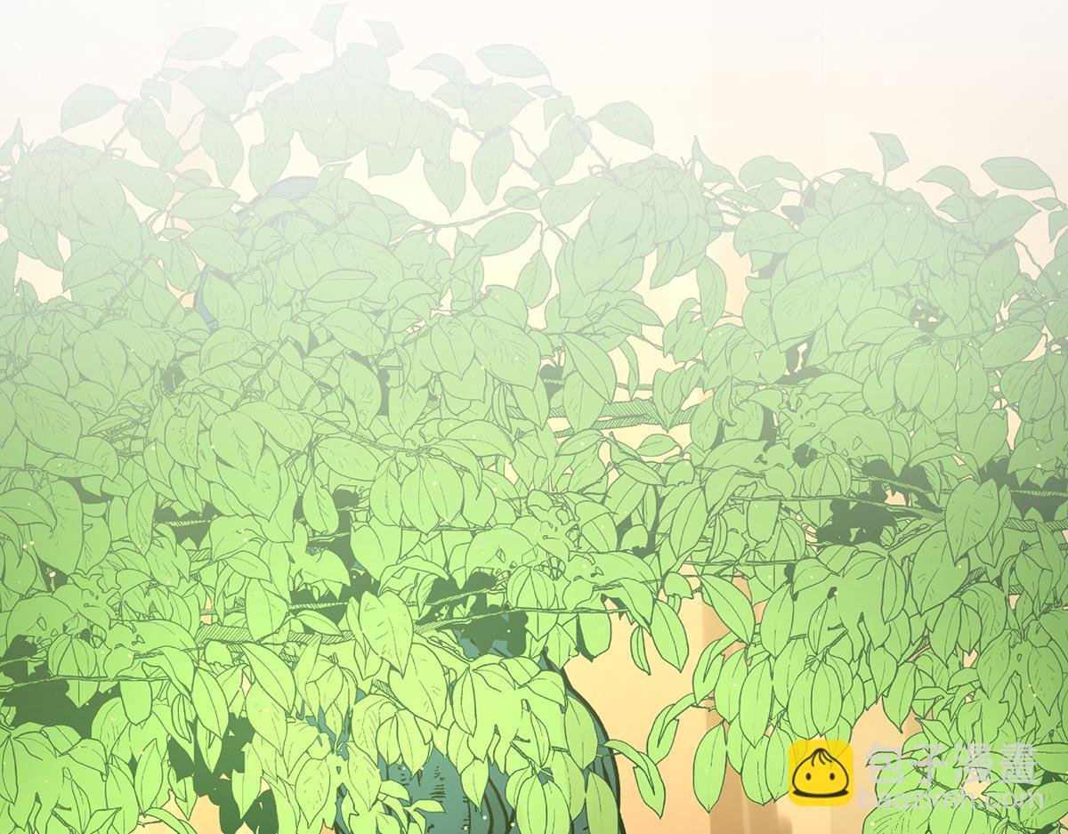 第88话 灵魂之花