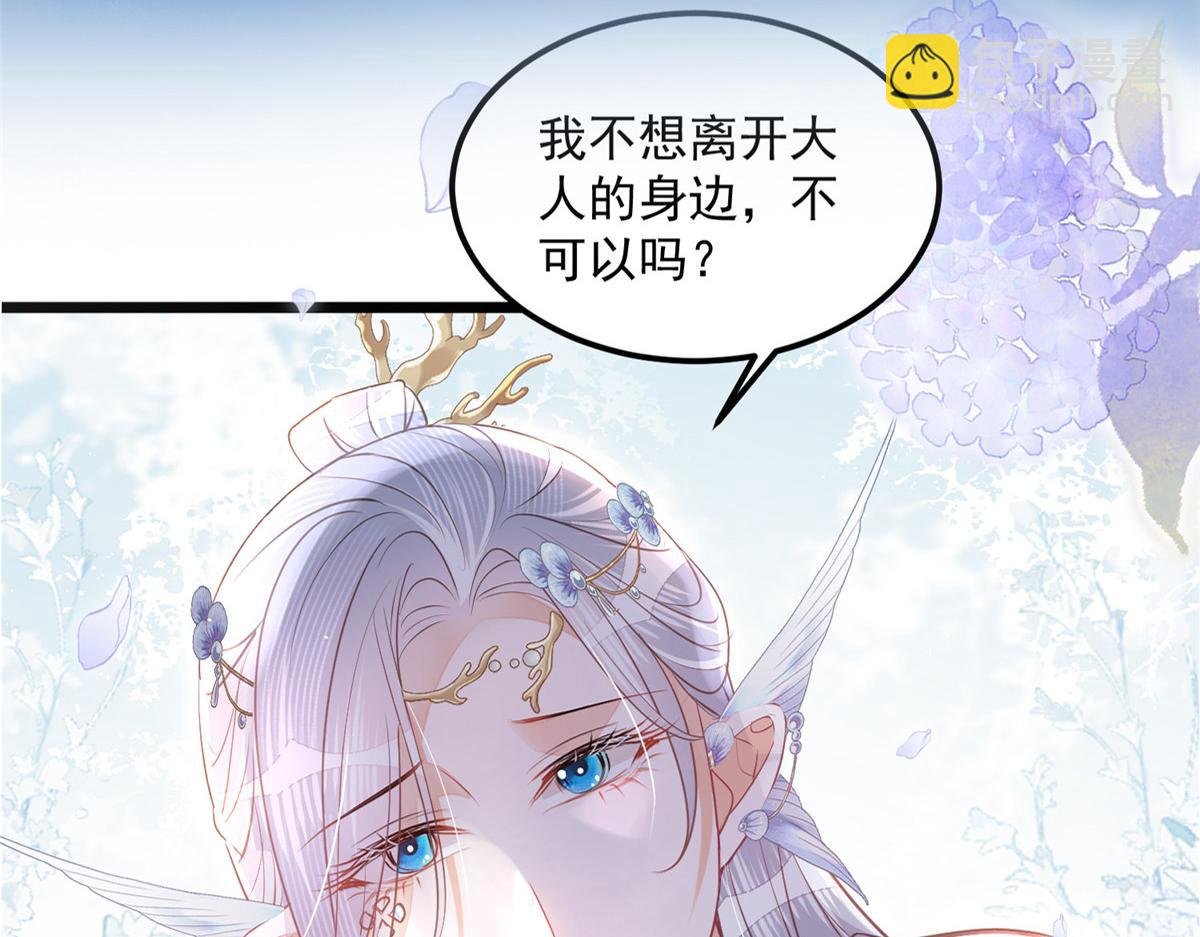 预告