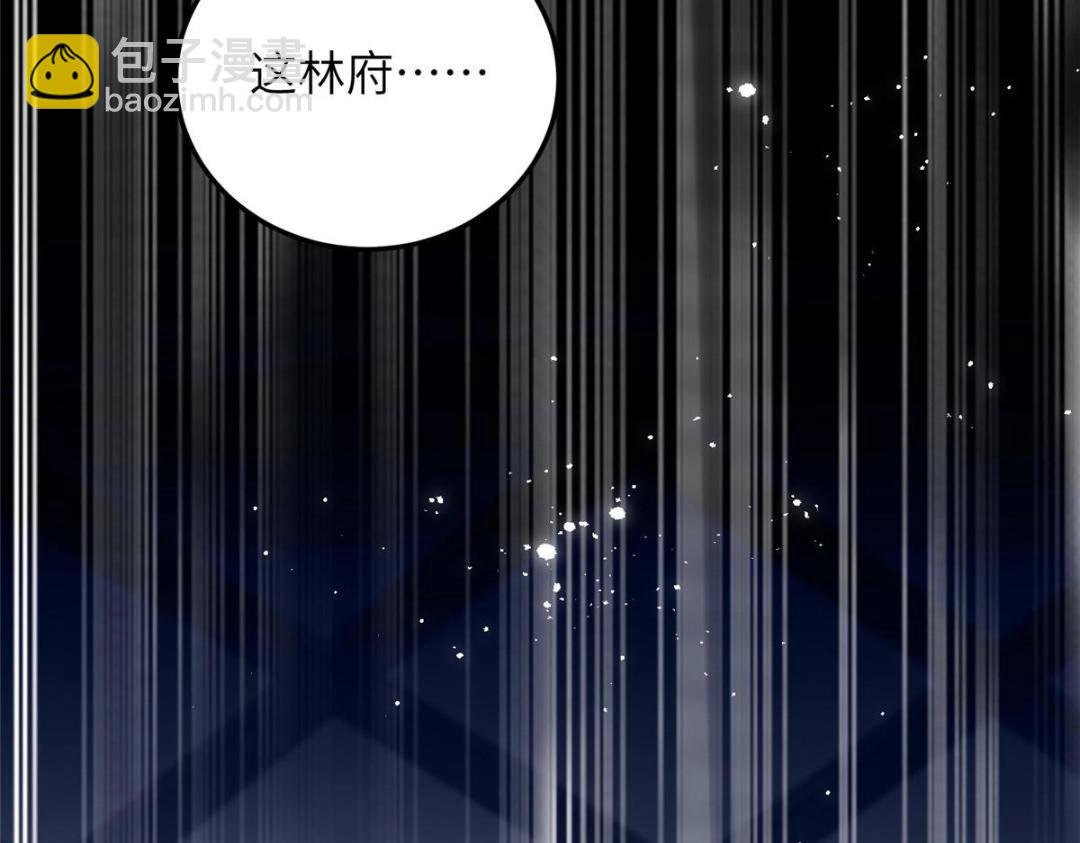041 这林家烧了吧