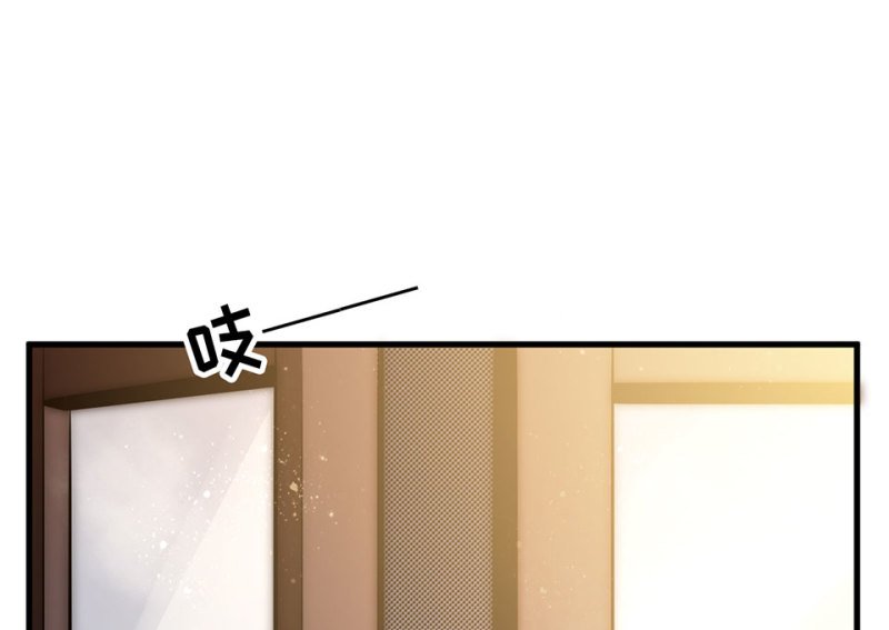 113 野蜘蛛·六
