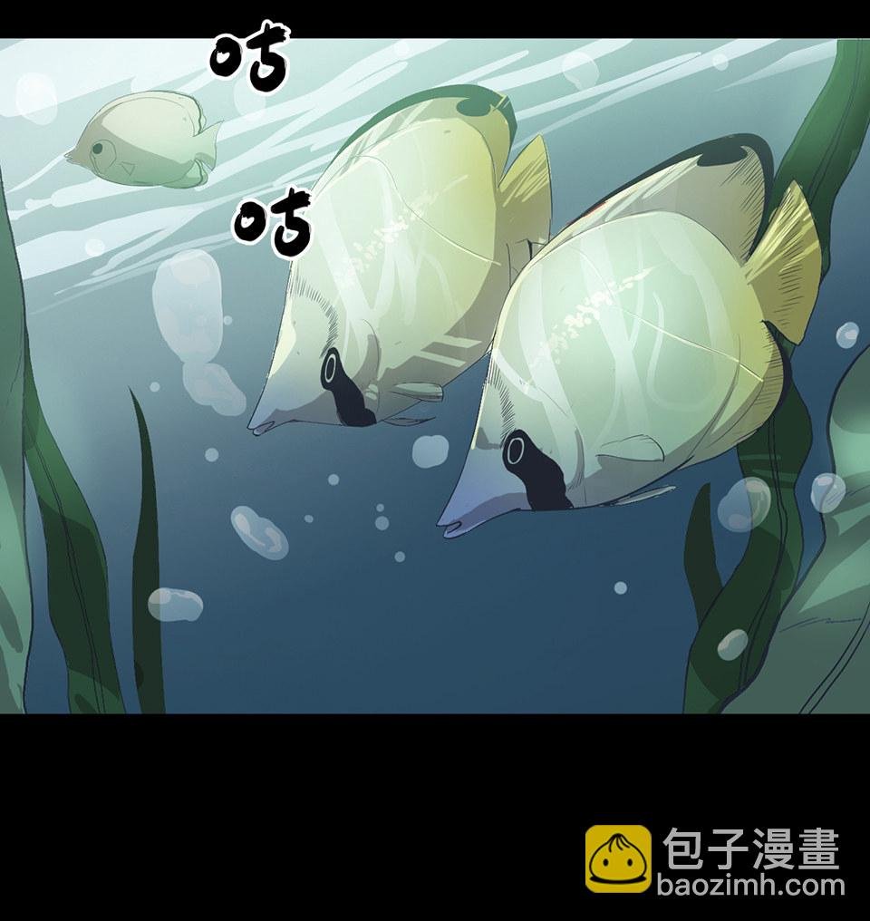蝴蝶鱼·一