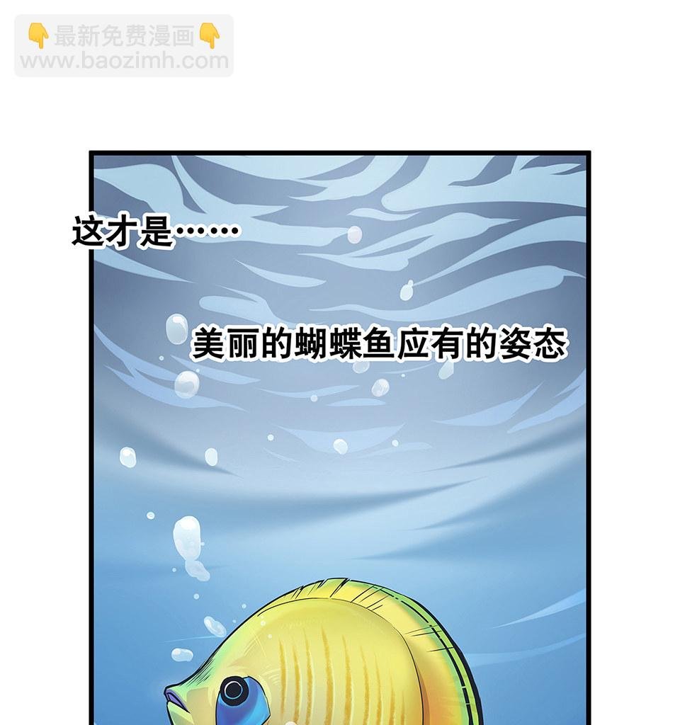 蝴蝶鱼·三
