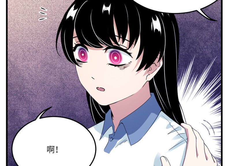 宠物食粮·七