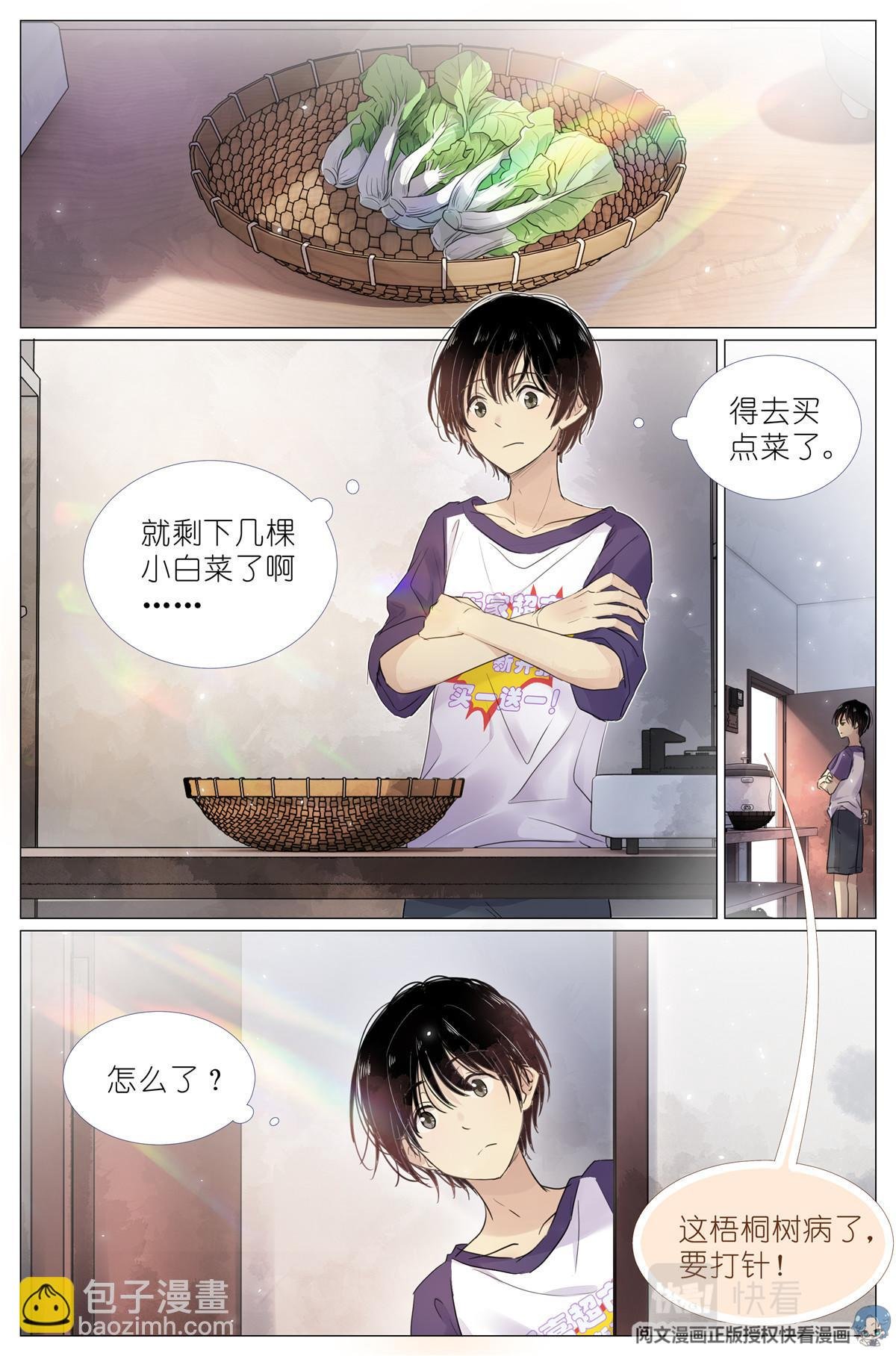 004 梧桐树