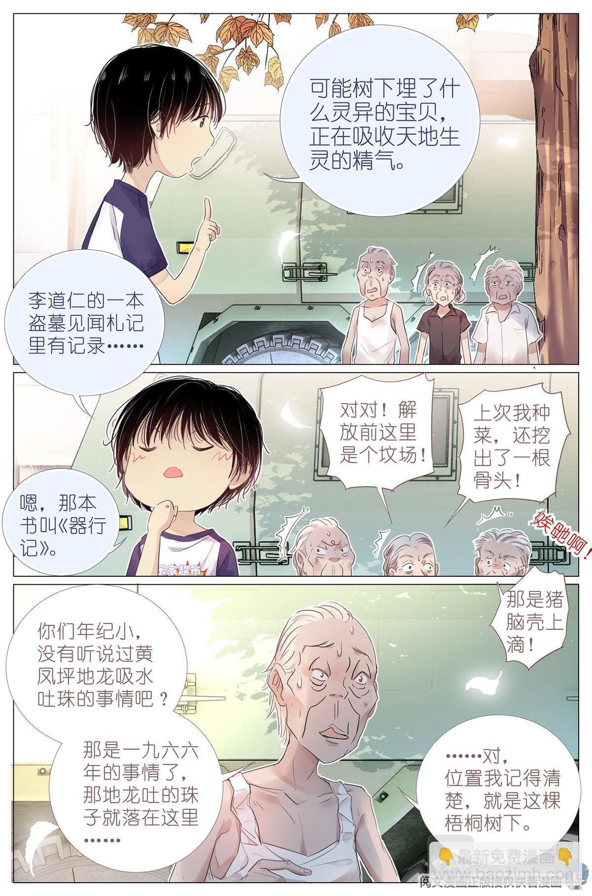 004 梧桐树
