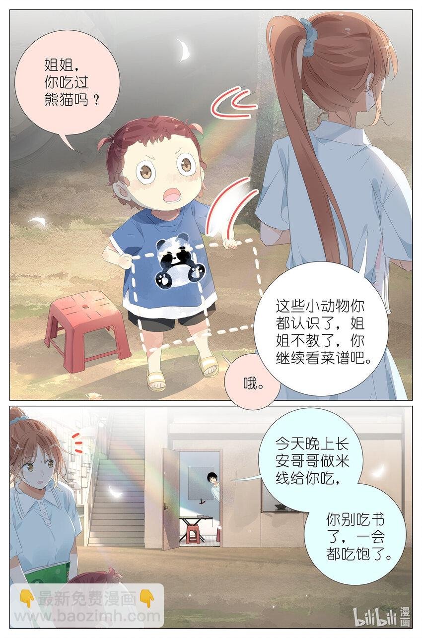 067 最喜欢的小动物