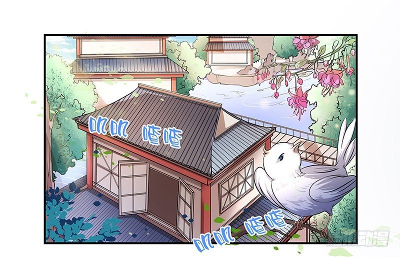 预告