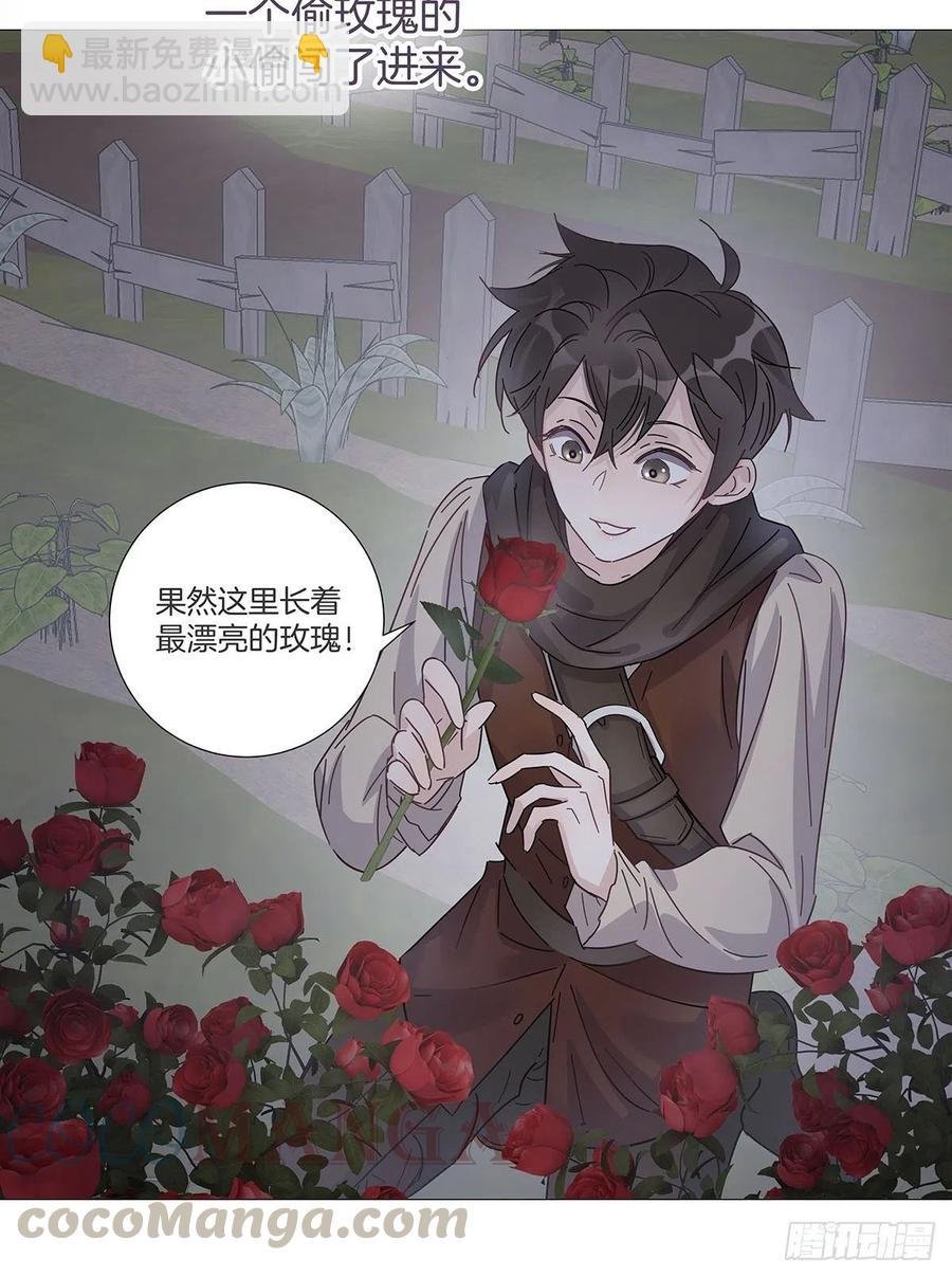番外6 吸血鬼的玫瑰