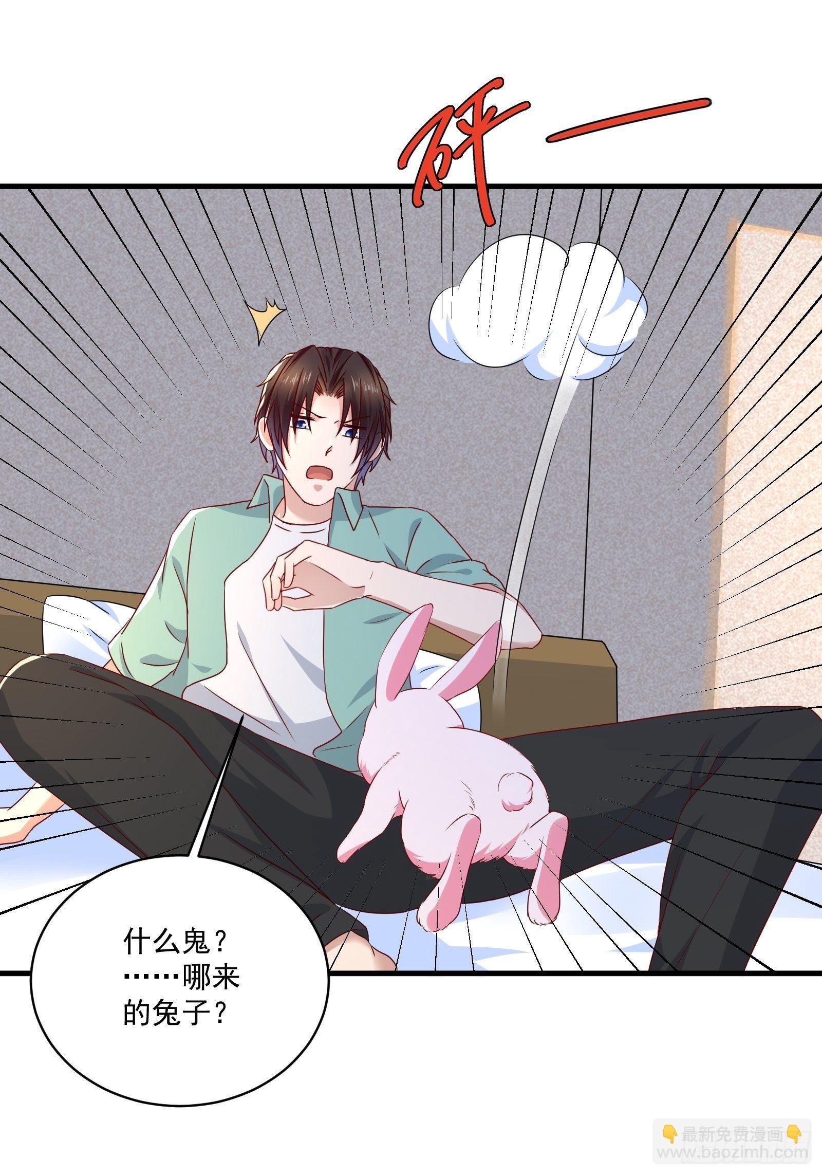 第26话 兔子？美女？