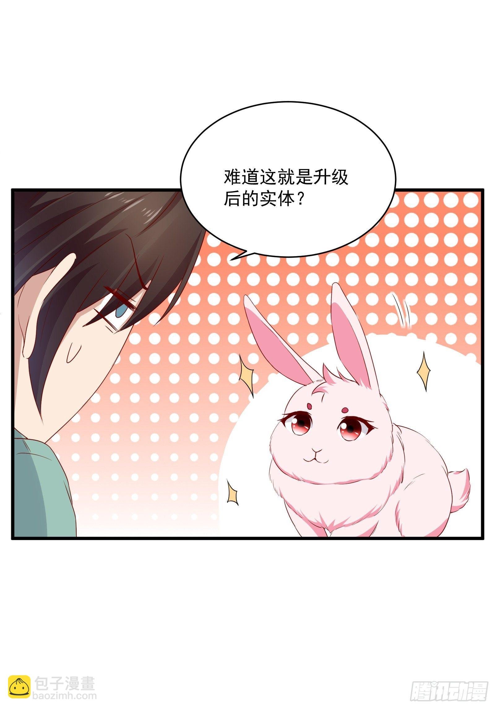 第26话 兔子？美女？