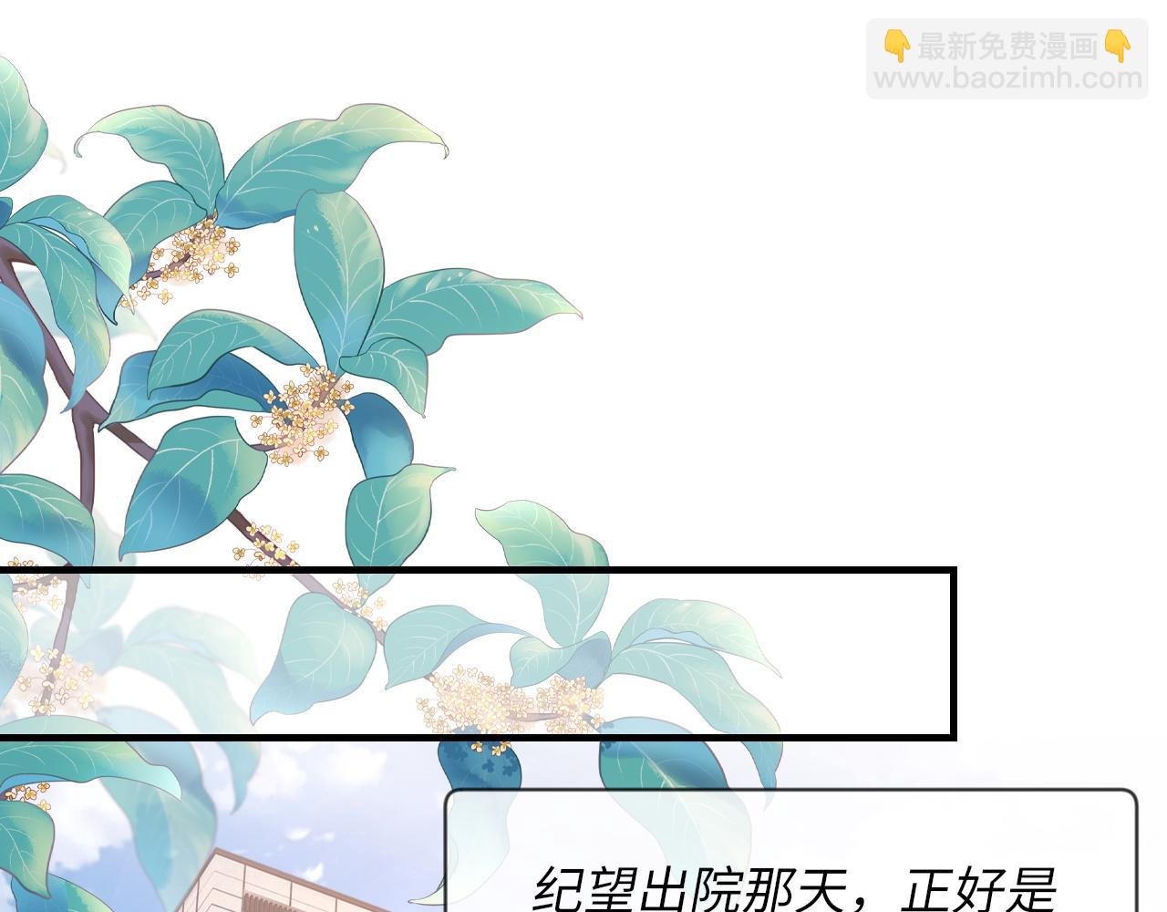 第44话 生日蛋糕