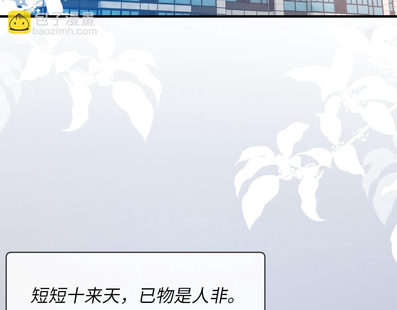 第44话 生日蛋糕