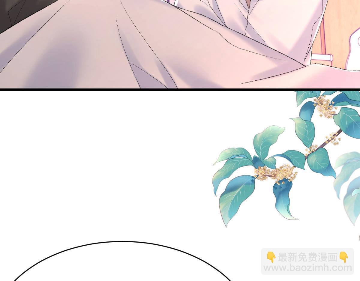 第84话 完美骗局