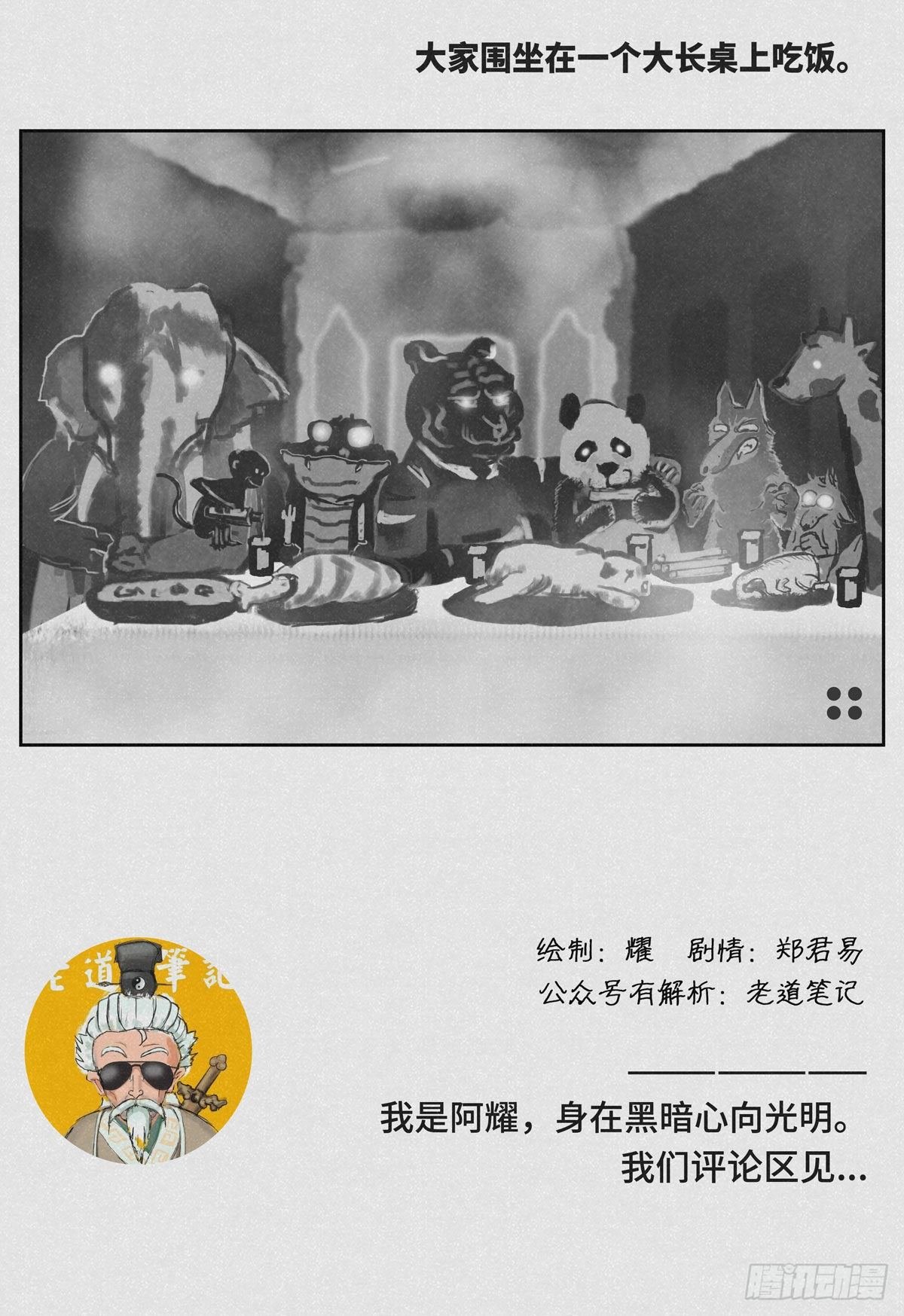 动物