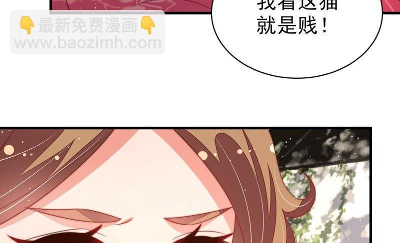第174话 生日礼物