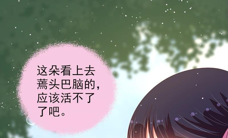 第188话 助攻来啦
