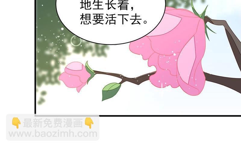 第188话 助攻来啦
