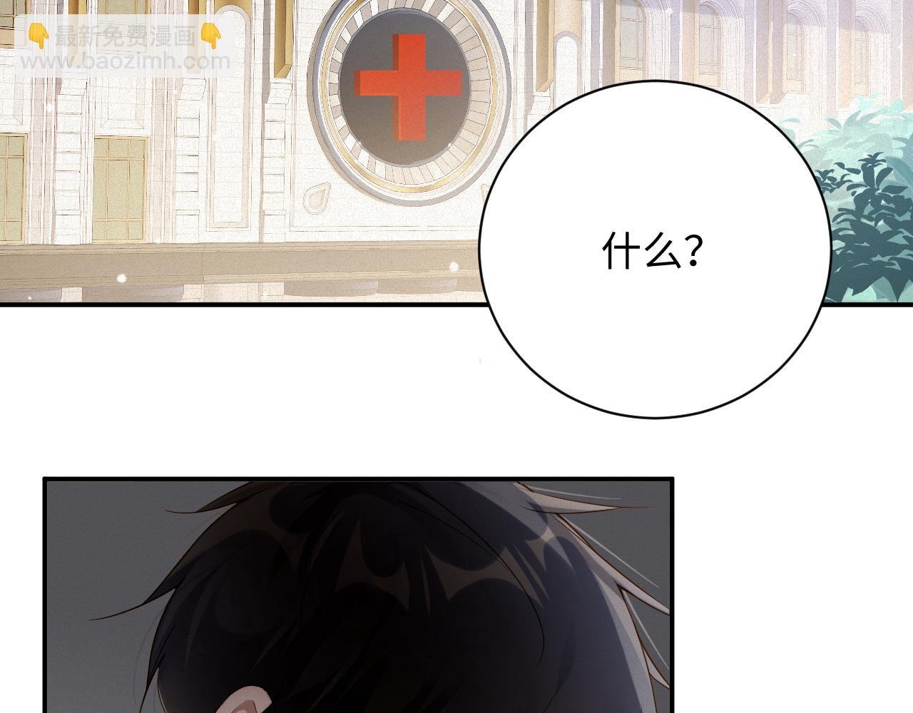 第72集 其实你是替身
