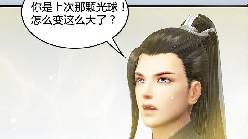 第19话：光球再现