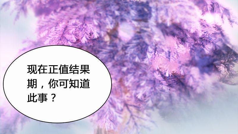第3话：天晶令