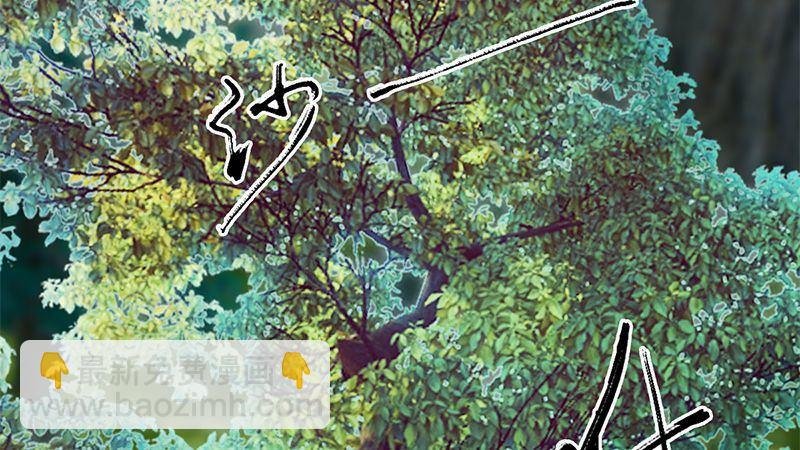 第41话：仙盟总部