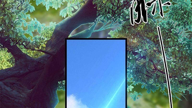 第41话：仙盟总部