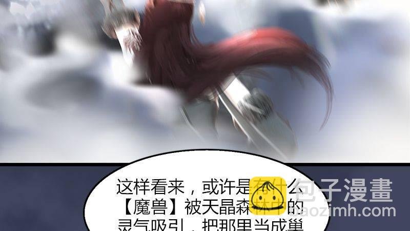 第5话：森林异象