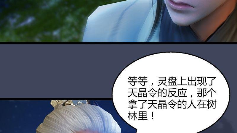 第5话：森林异象