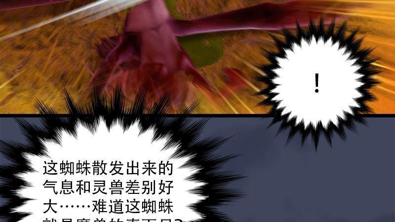 第6话：蜘蛛