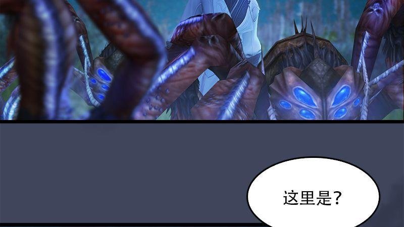 第6话：蜘蛛