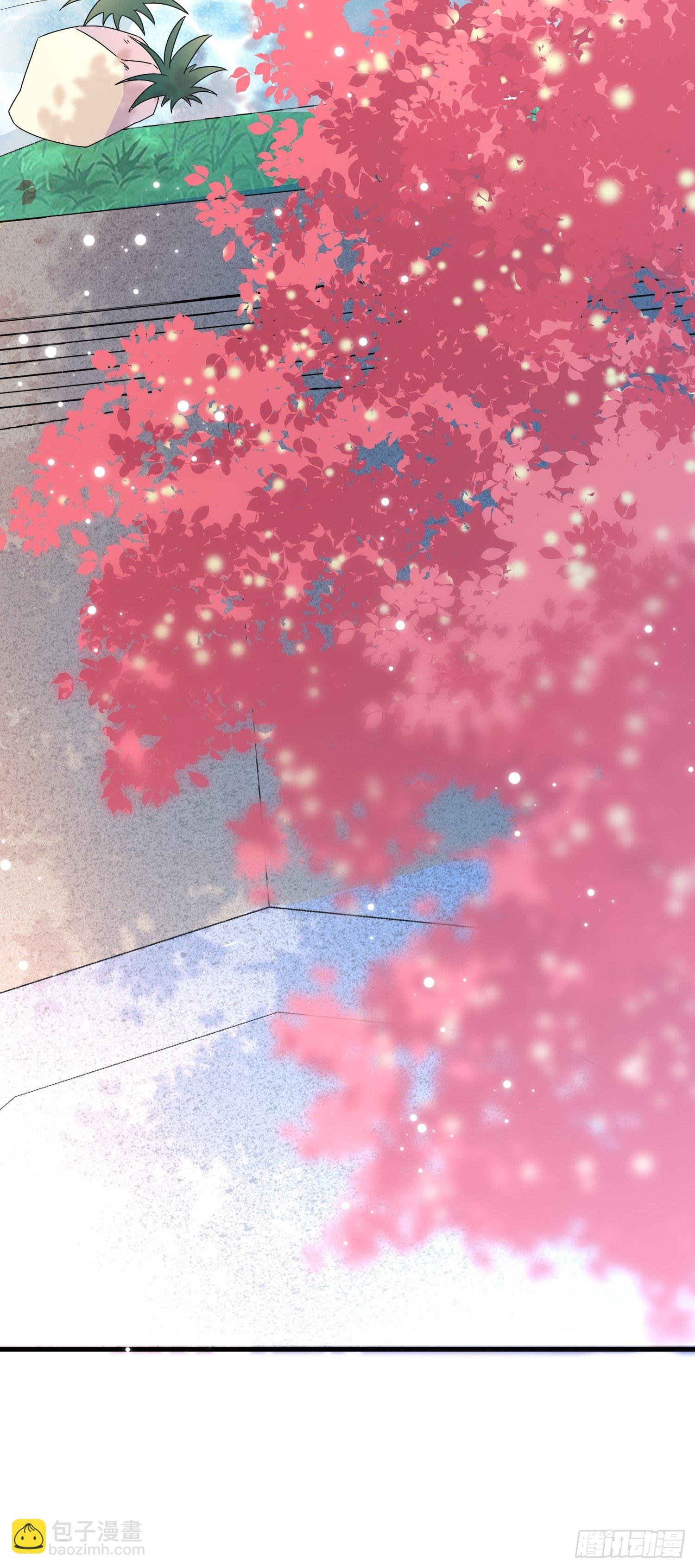 第11话神秘的人物