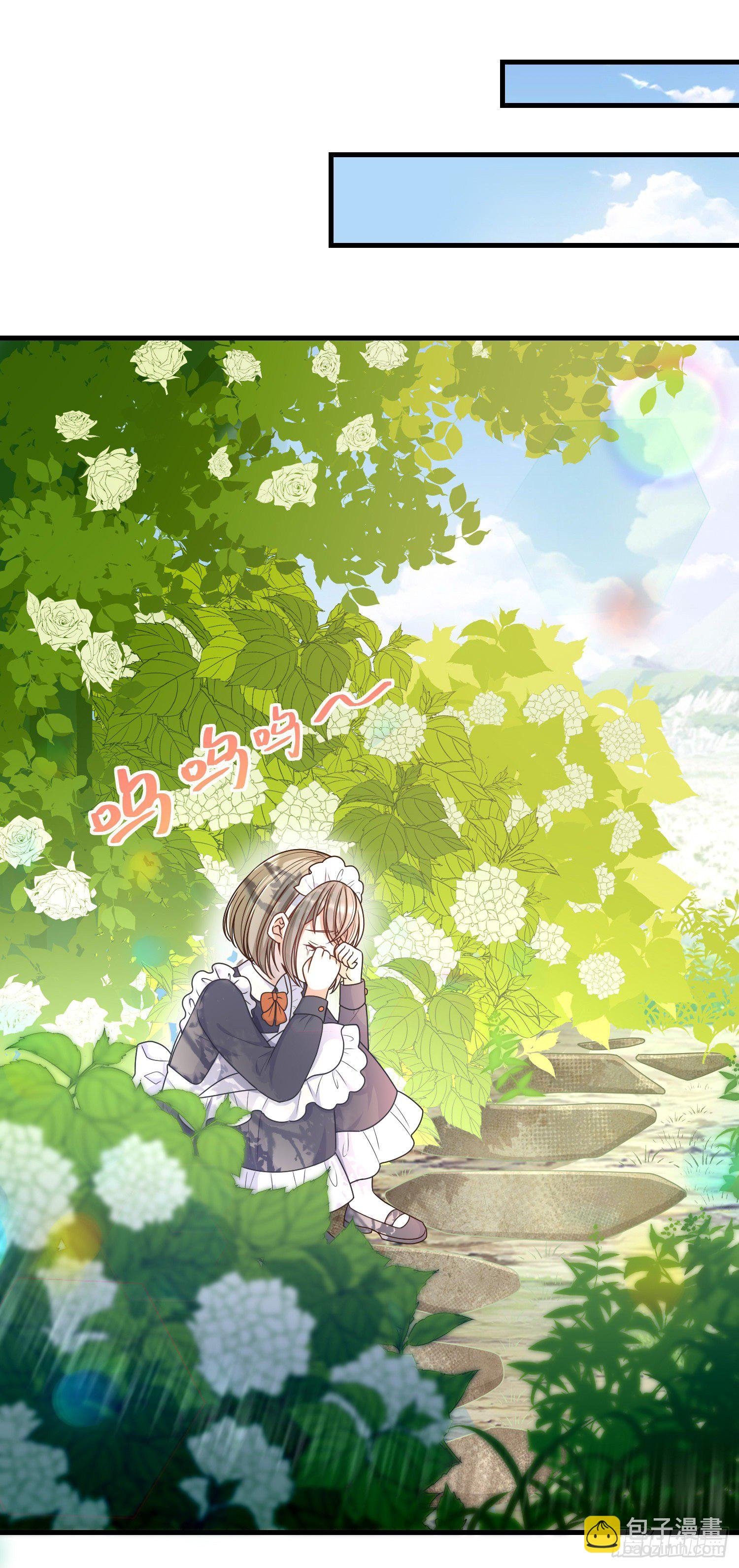 第7话艾米莉亚的危机