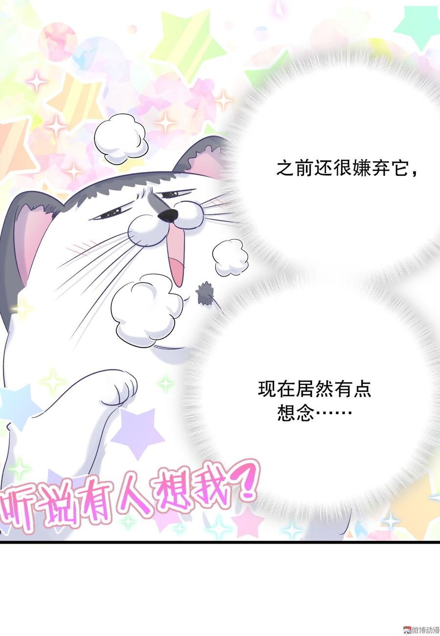 第64话 阿靓不见啦！