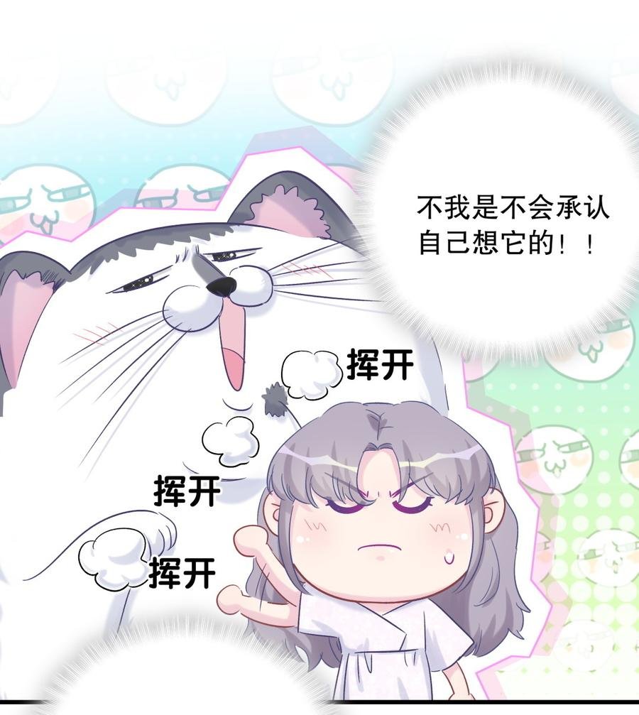 第64话 阿靓不见啦！