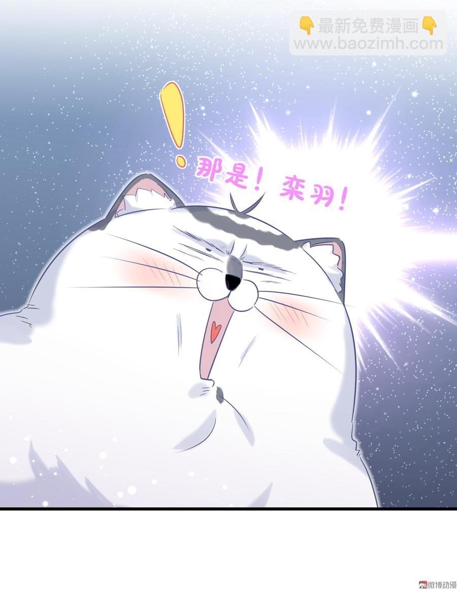 第65话 说不定有血缘关系？