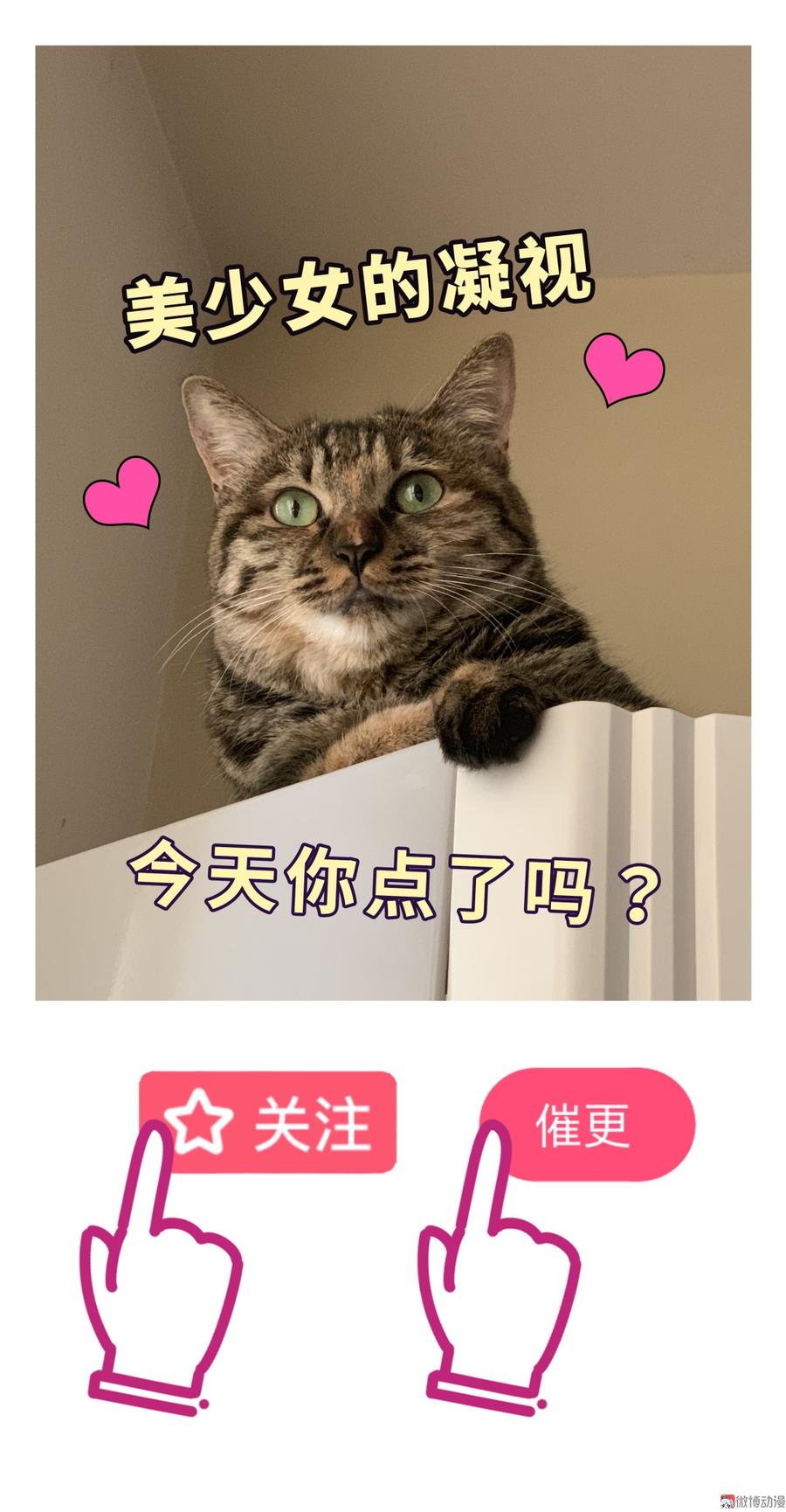 第65话 说不定有血缘关系？